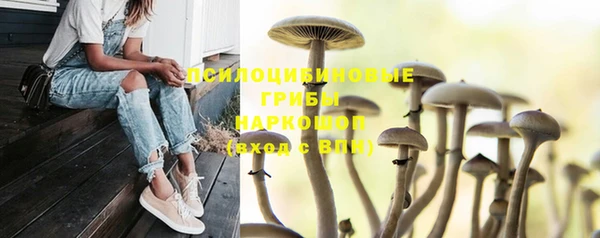 герыч Няндома
